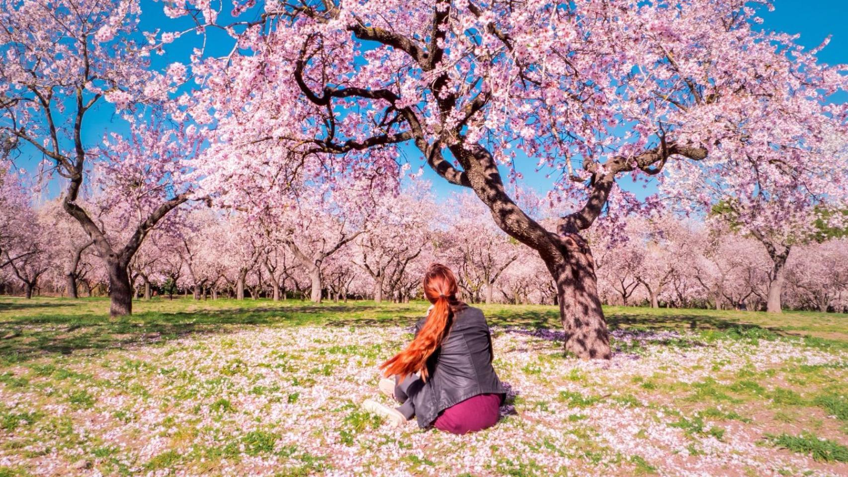 El parque de la Quinta de Molinos, en Madrid.