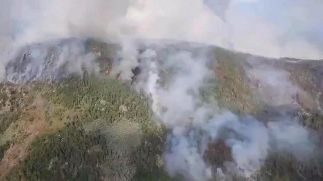 Incendio forestal en Pantón (Lugo) a 19 de septiembre de 2025. AT BRIF