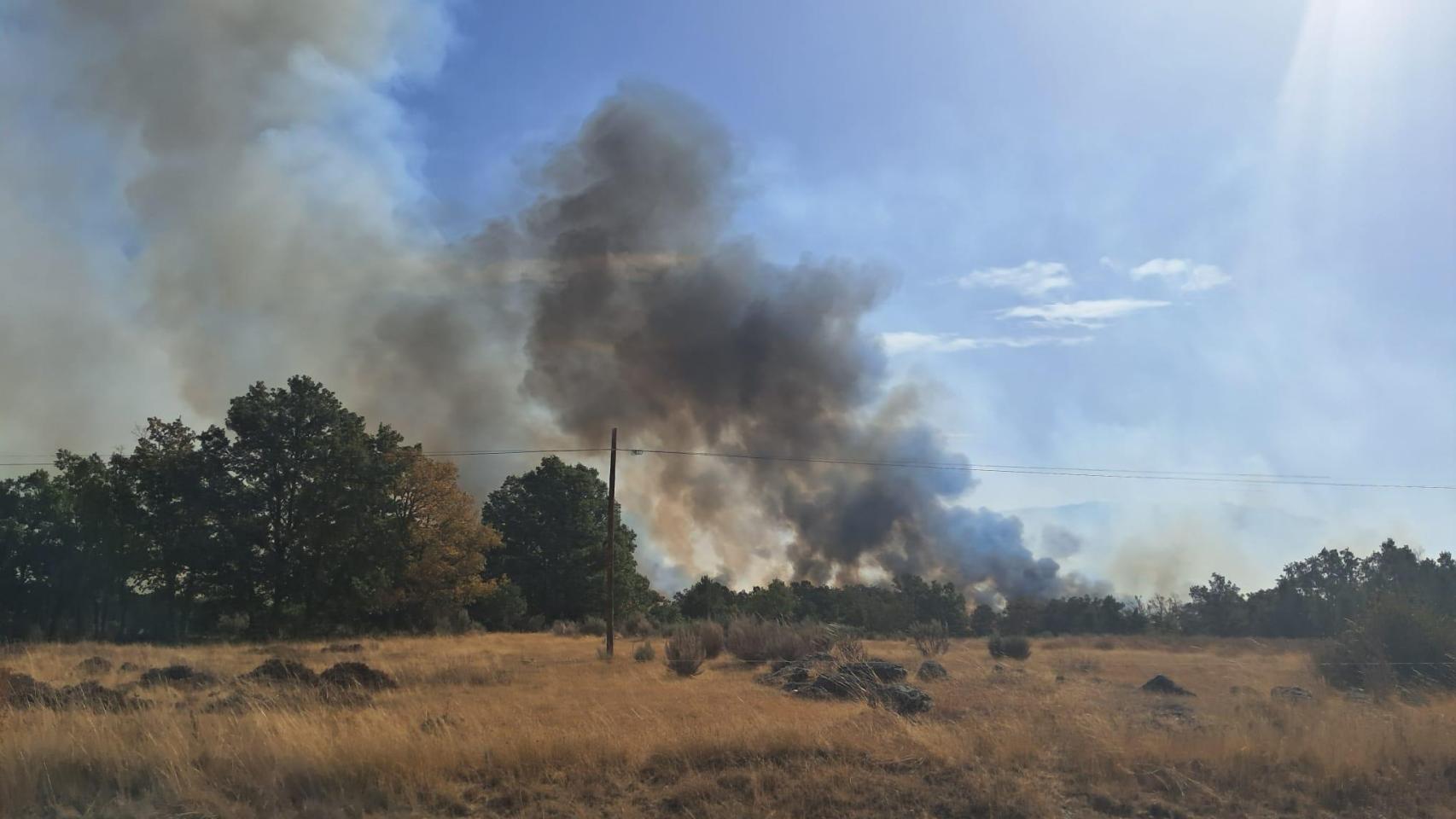 Incendio en Pendilla de Arbas (León).