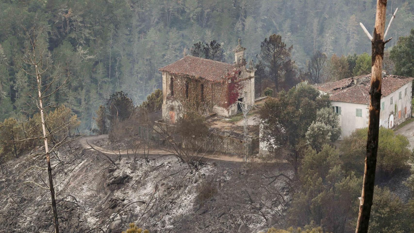 Zonas calcinadas por el incendio de Pontón.