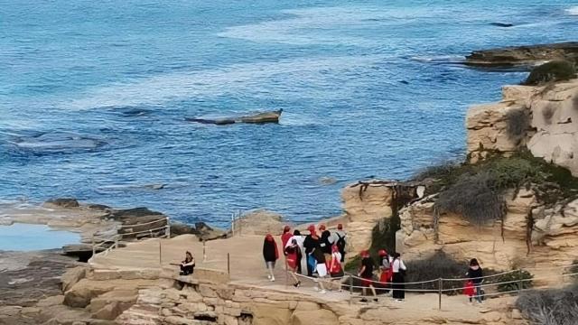 Una de las acciones de recogida de plásticos de la iniciativa Mares Circulares.