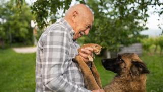 Un perro y un gato con un hombre.