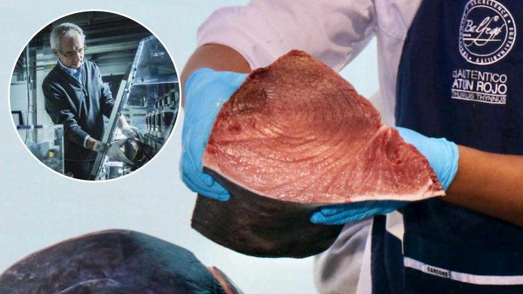 El investigador Alain Marceau del Sincrotón Europeo (Pescado: Balfegó)