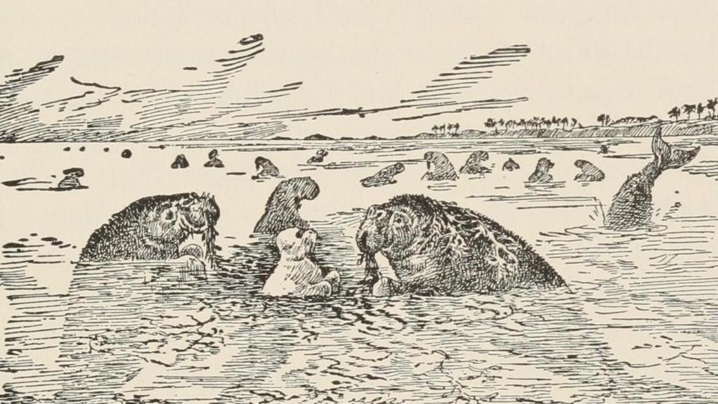 Ilustración de vacas marinas en la edición de 1895 de 'Los dos libros de la selva', de Rudyard Kipling.