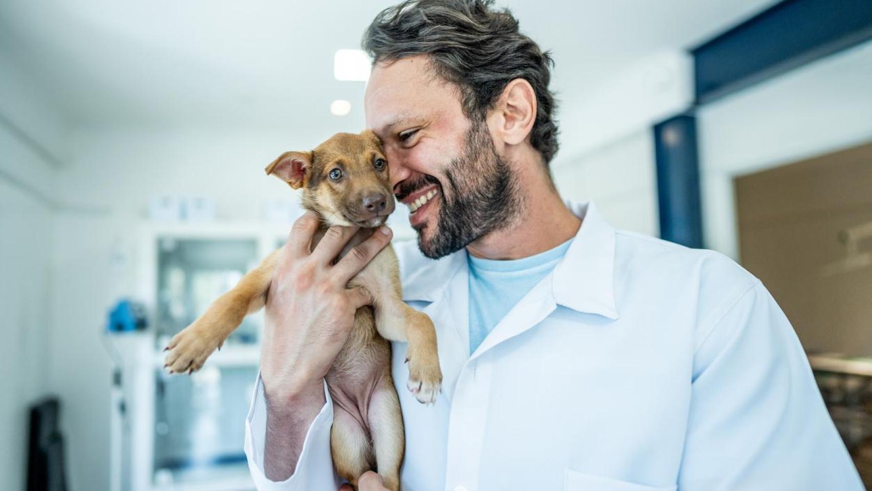 Un veterinario con un cachorrito.