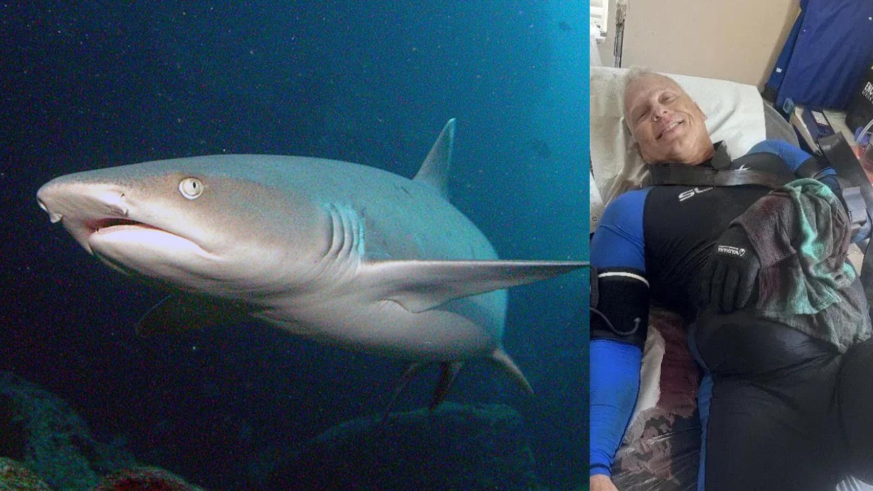 Eddie Jarmakowicz fue atacado por un tiburón de arrecife (Triaenodon obesus).