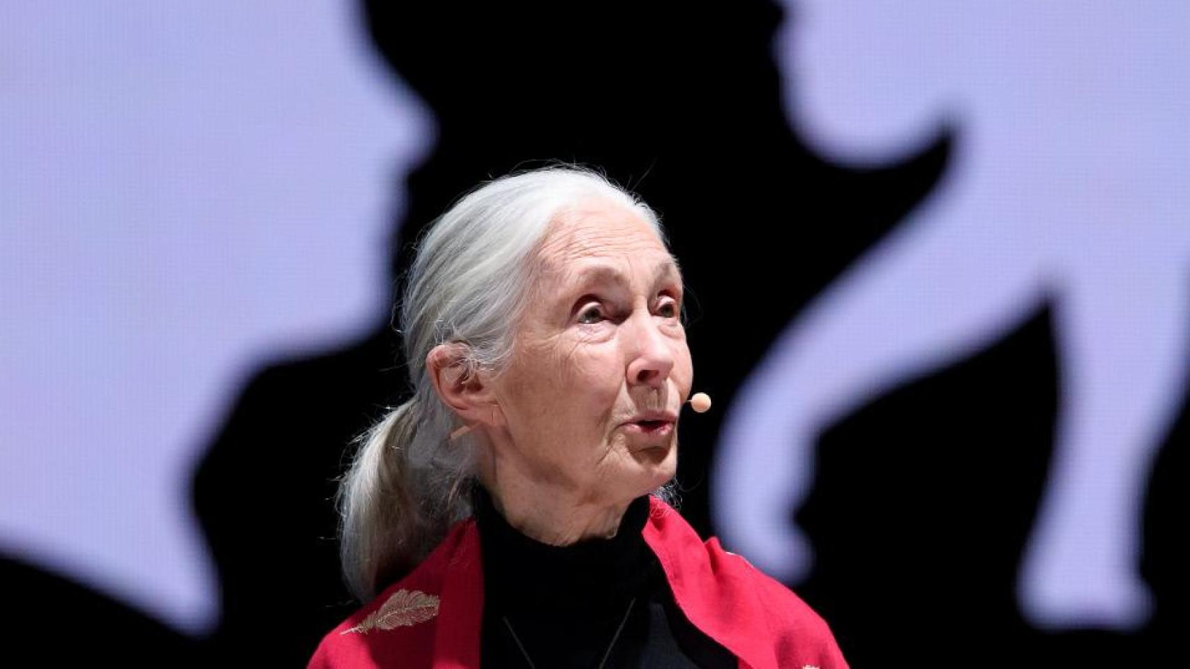 Jane Goodall dando una charla en Alemania en 2019.