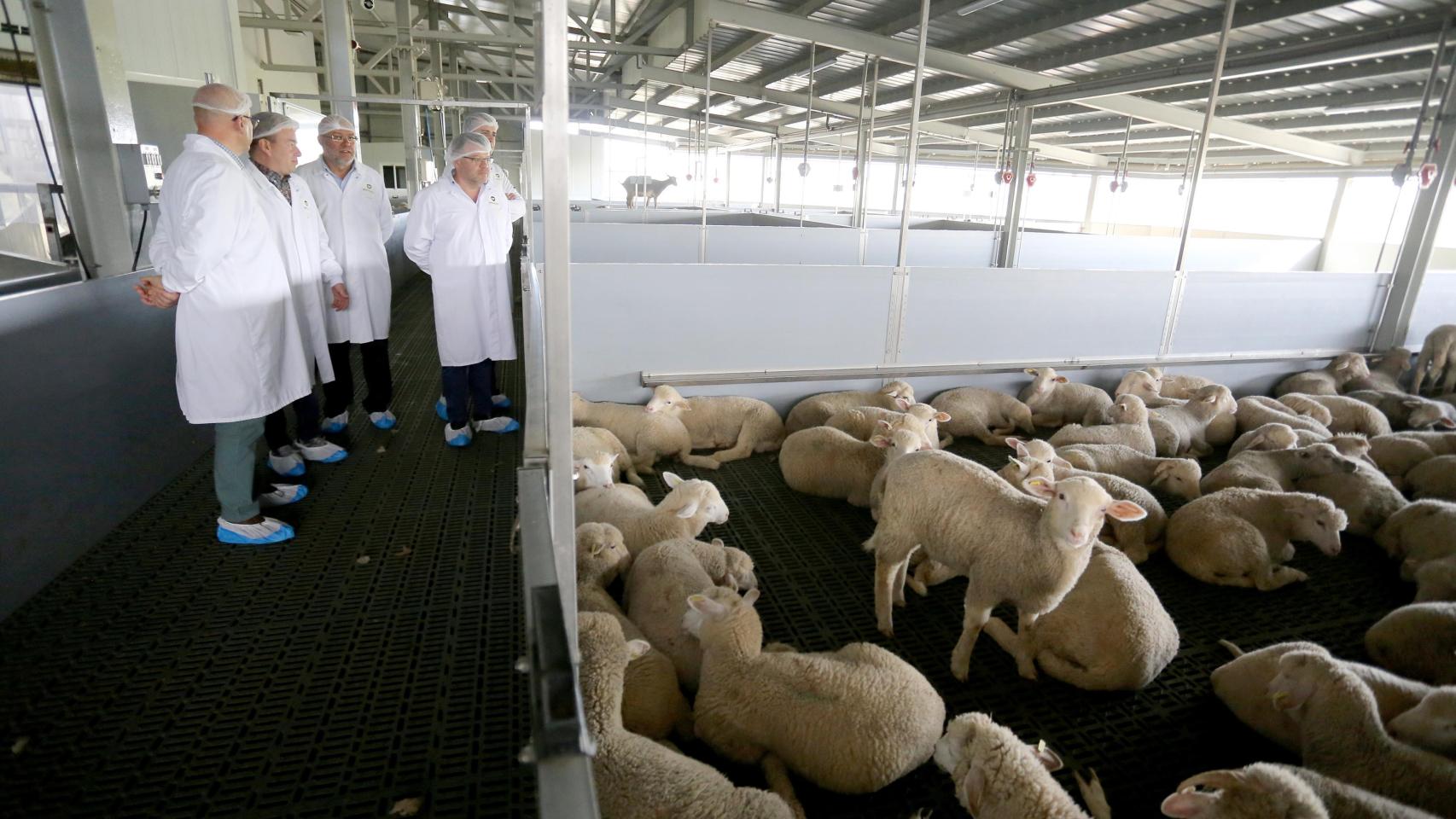 Visita a Moralejo Selección
