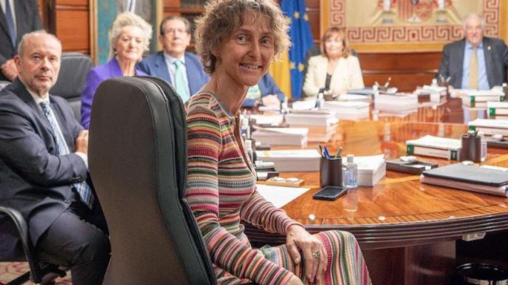 Laura Díaz Bueso, en una imagen de archivo del pleno del Tribunal Constitucional./