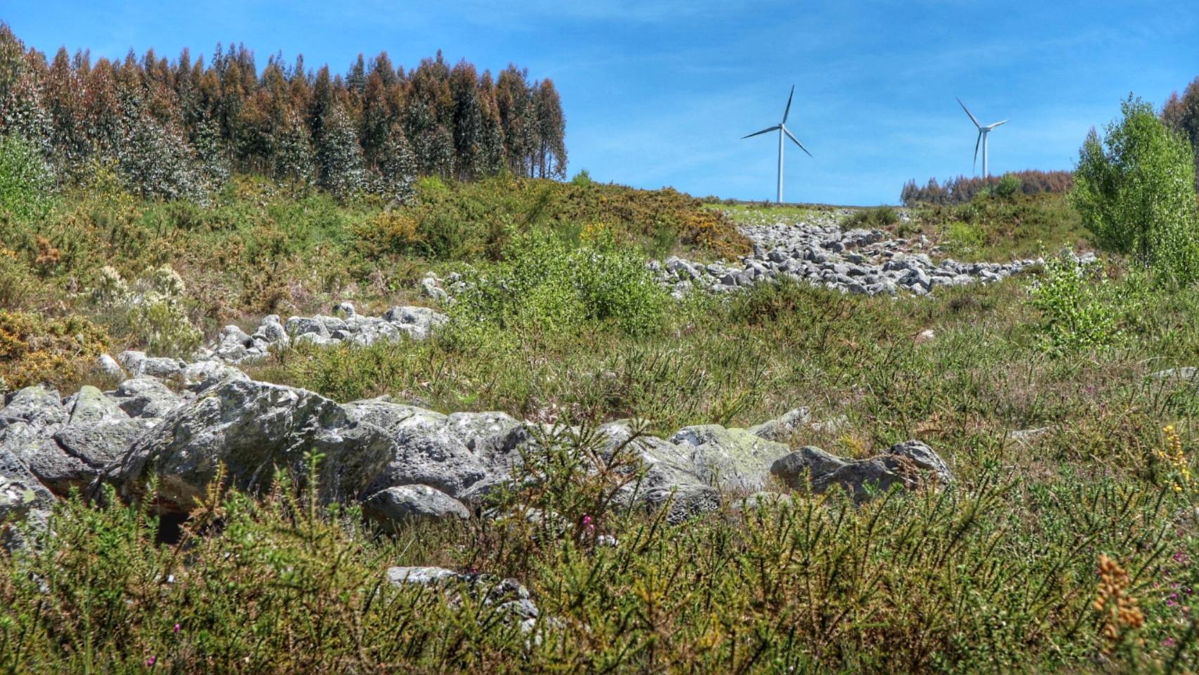Pedregal de Irimia, nacimiento del río Miño. https://es.wikipedia.org
