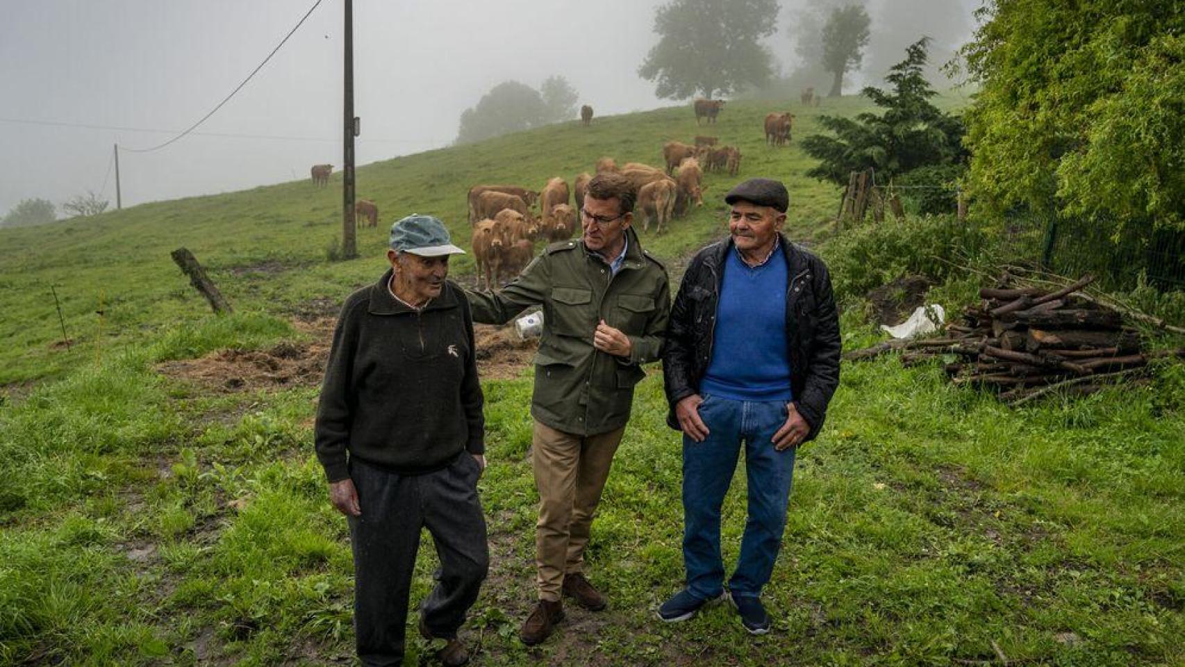 El PP busca el voto del campo, uno de los más descontentos:  Primero Agricultura, luego Transición Ecológica 