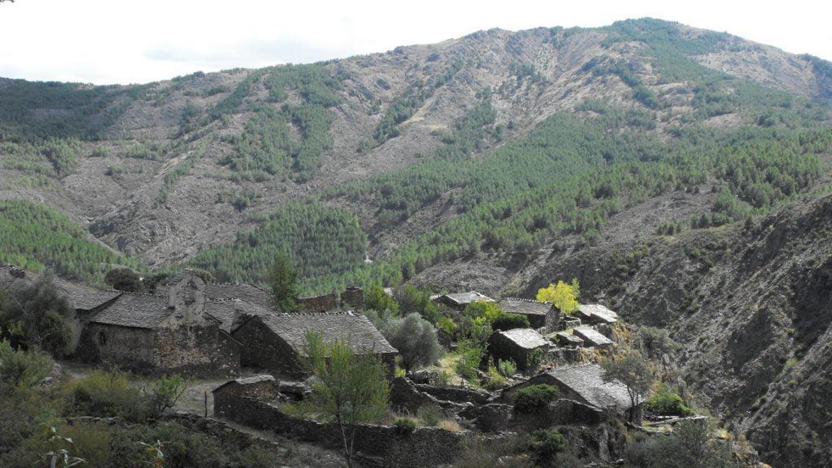 La Vereda (Guadalajara).