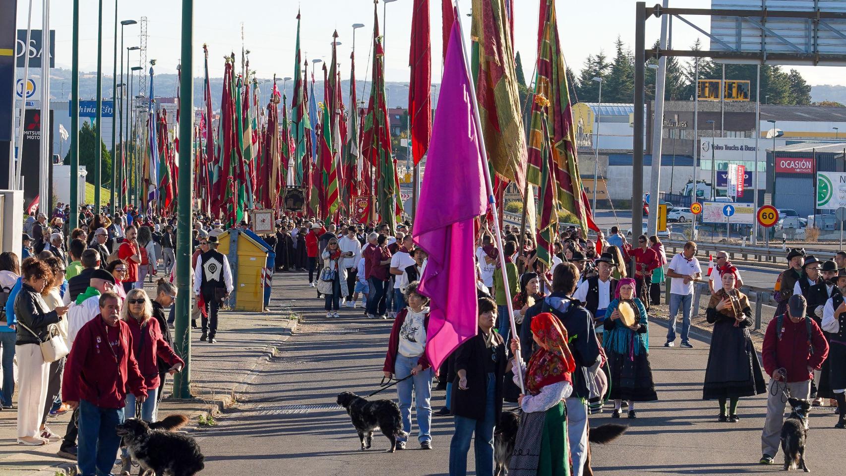 La romería de San Froilán