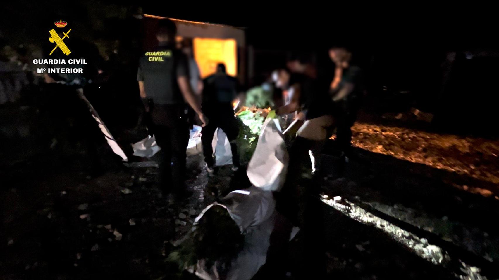 Los agentes del Equipo ROCA de la Guardia Civil intervienen 40 kg de marihuana en Lora del Río