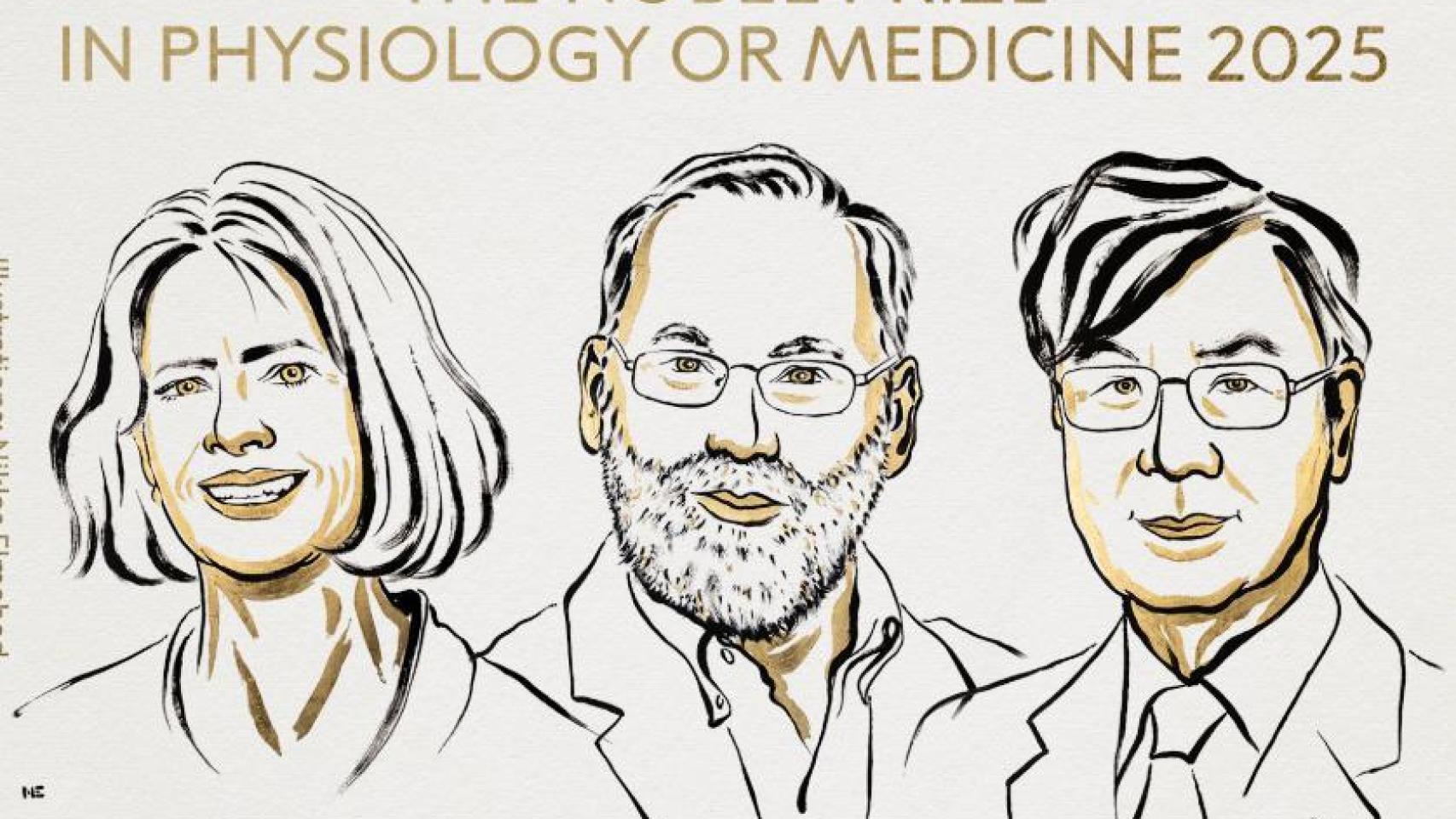 Mary E. Brunkow, Fred Ramsdell y Shimon Sakaguchi, Nobel de Medicina 2025 por investigar la tolerancia inmune periférica