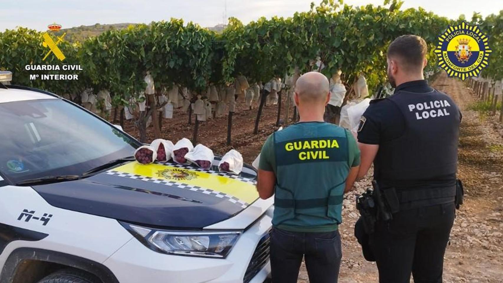 Los agentes junto a la uva sustraída.
