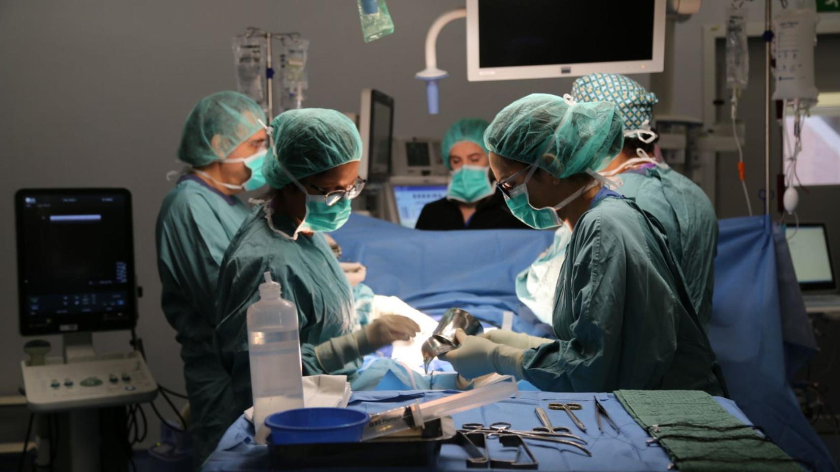 Imagen de archivo de una intervención de un cáncer de páncreas.