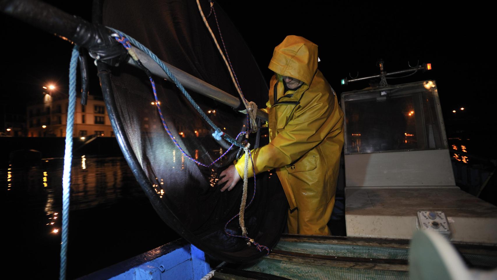 Pesca de angula en el País Vasco.
