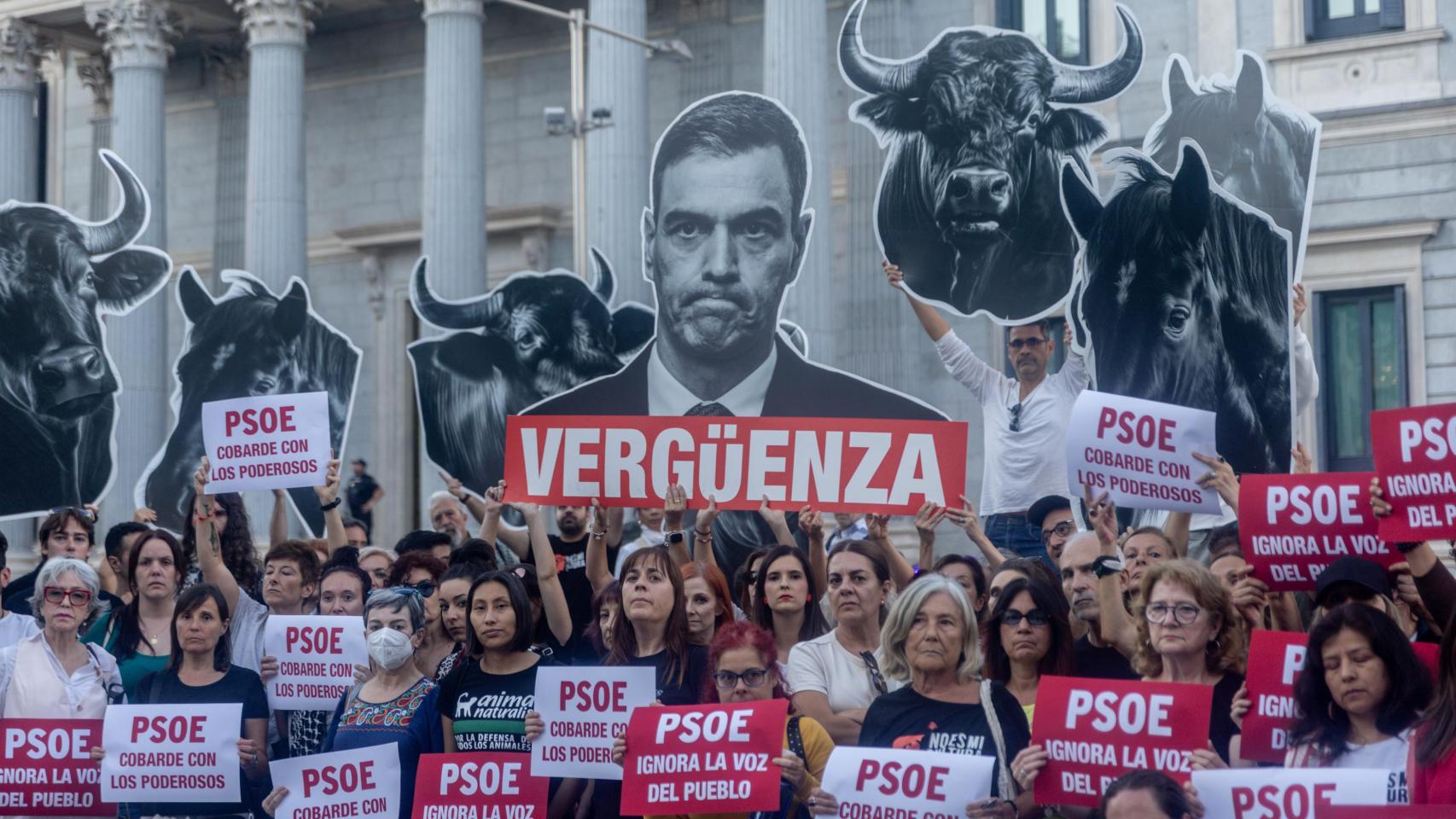 Firmantes de la ILP que propone la derogación de la tauromaquia como patrimonio cultural este martes frente al Congreso.