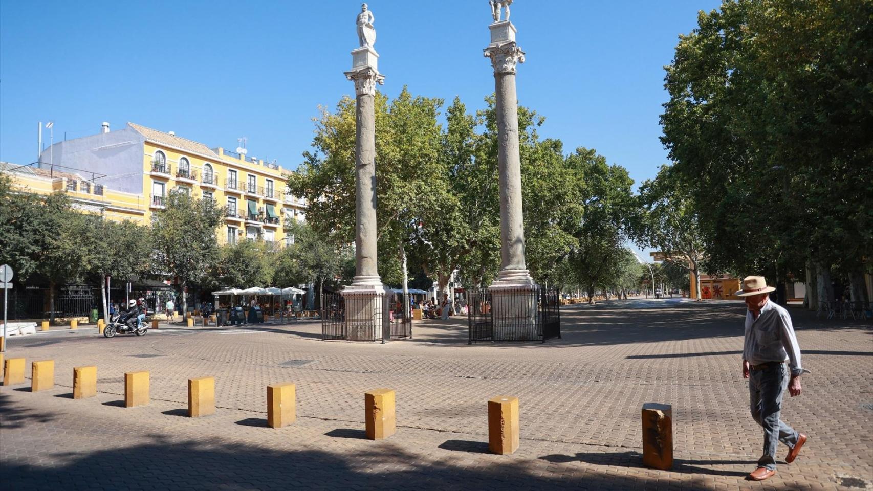 La Alameda de Hércules de Sevilla.
