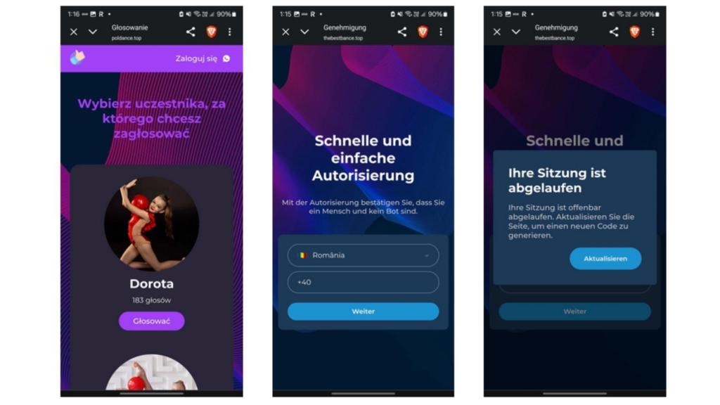 Interfaz de la web fraudulenta