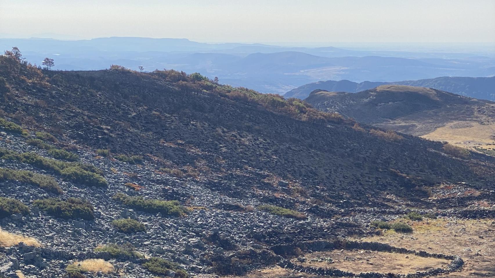 El paisaje de Cervera de Pisuerga tras ser arrasado por las llamas