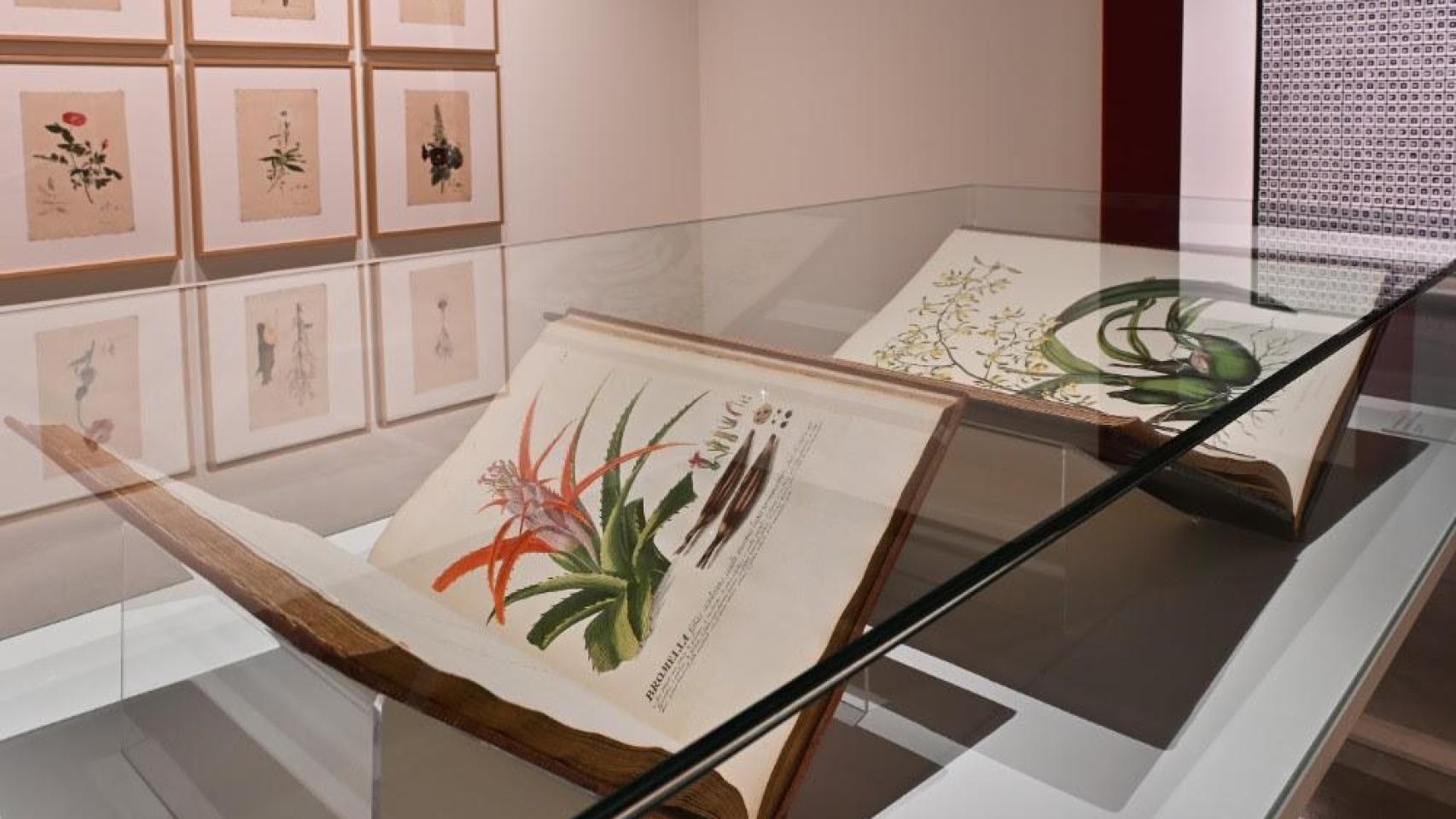 'El sueño de la razón': La susceptibilidad hacia la IA es la misma que tuvo la fotografía con la pintura