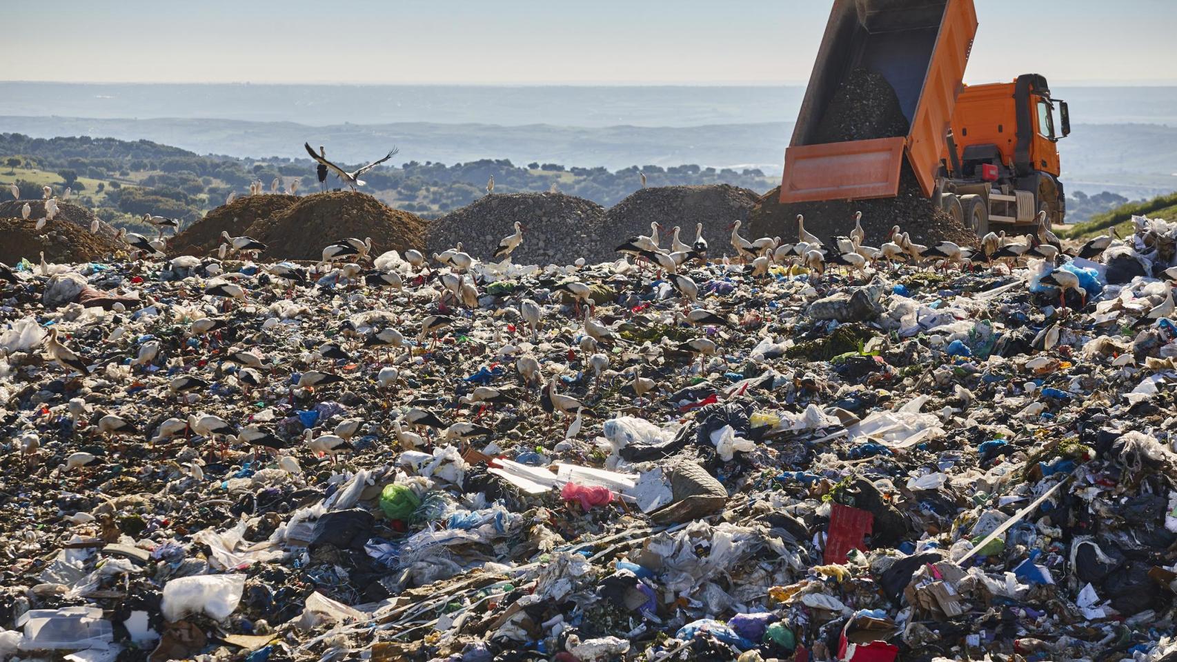 Un camión descarga tierra en un vertedero.