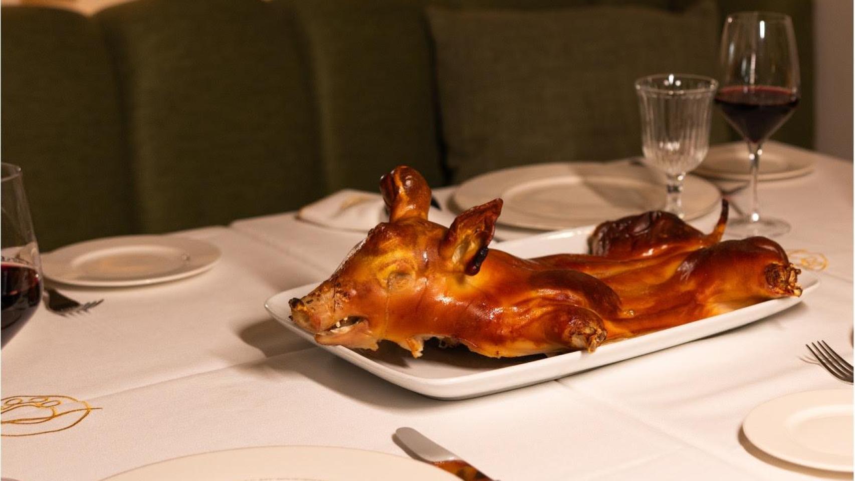 Cochinillo de Pabblo.