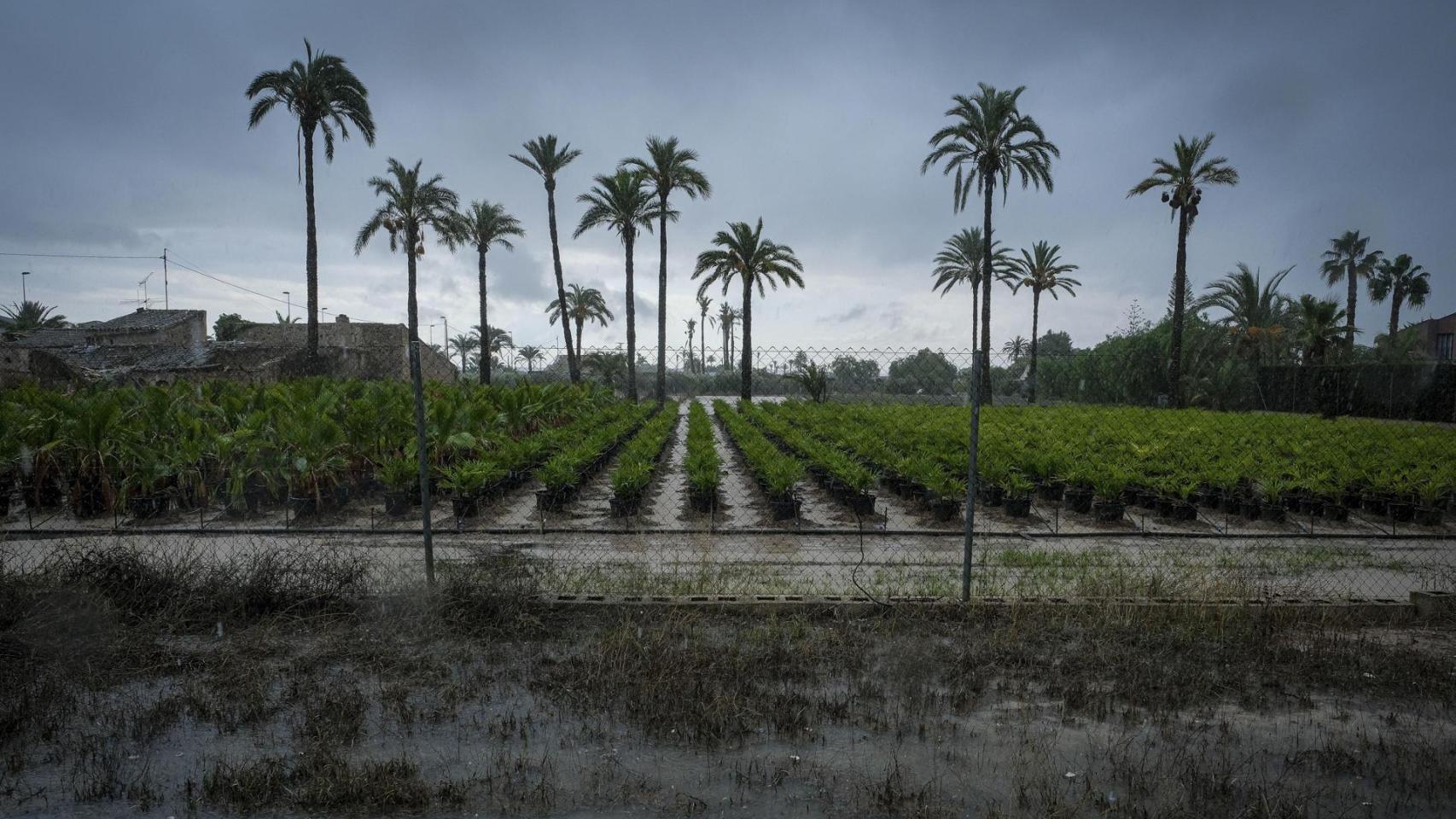 La dana  Alice  se desplaza hacia Valencia, Cataluña y Baleares: la Aemet alerta de lluvias torrenciales con hasta 300 l/m2