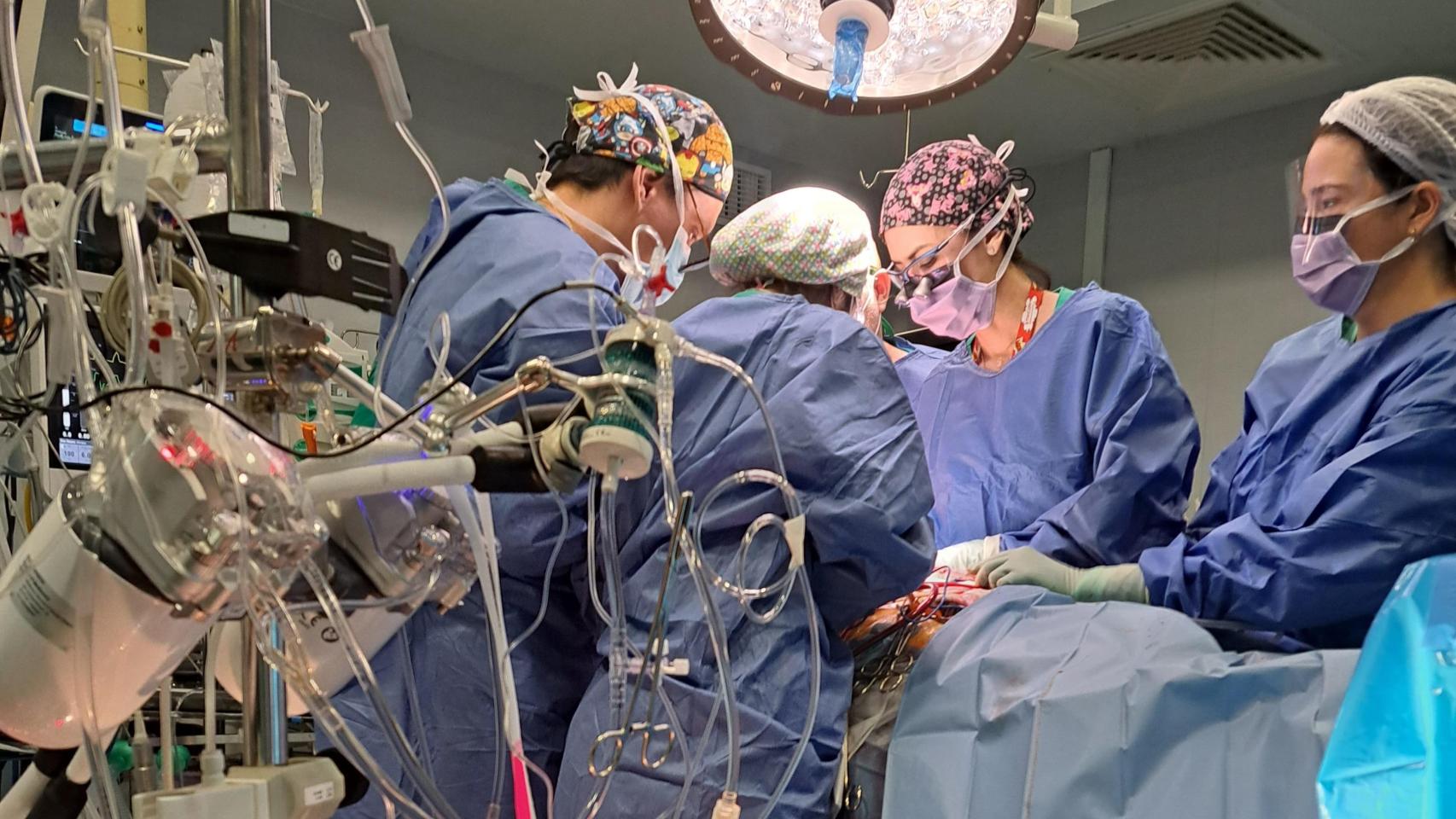Una operación de trasplante en el hospital. Imagen de archivo.