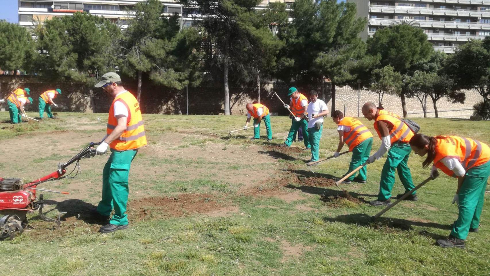 Jardineros trabajando para el Ayuntamiento de Valencia en el Jardín del Turia. EE