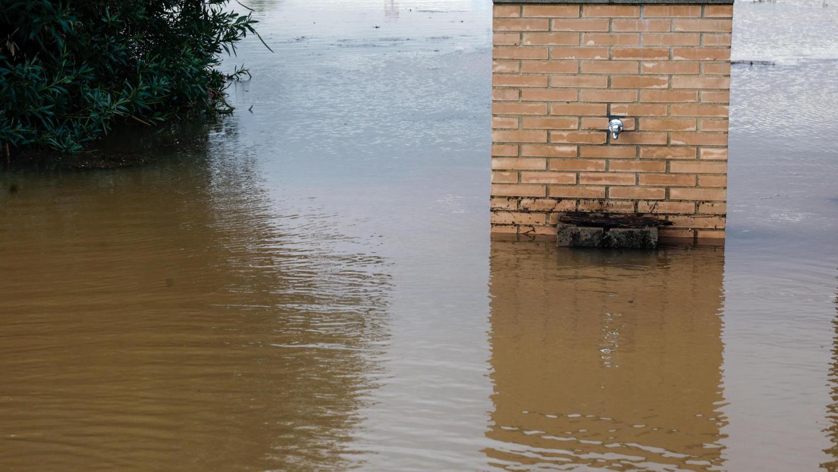 Vista de una fuente en una zona inundada en Almussafes el pasado sábado.