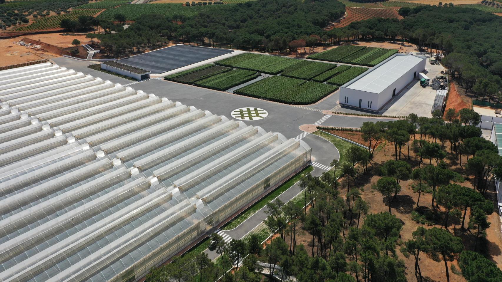 Vista panorámica del área de Acemi II en Villanueva de la Jara, Cuenca.