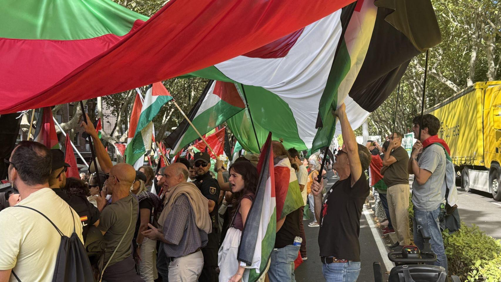 Representantes de IU sostienen banderas palestinas en Valladolid
