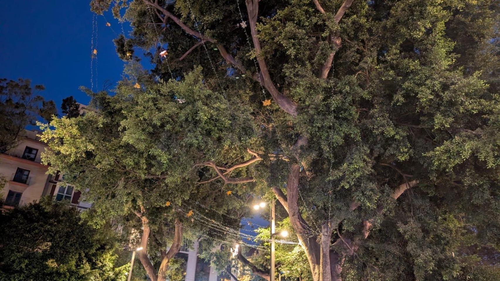 La decoración navideña de la Alameda Principal.