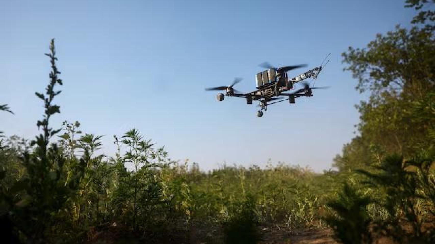 Imagen de archivo de un dron.