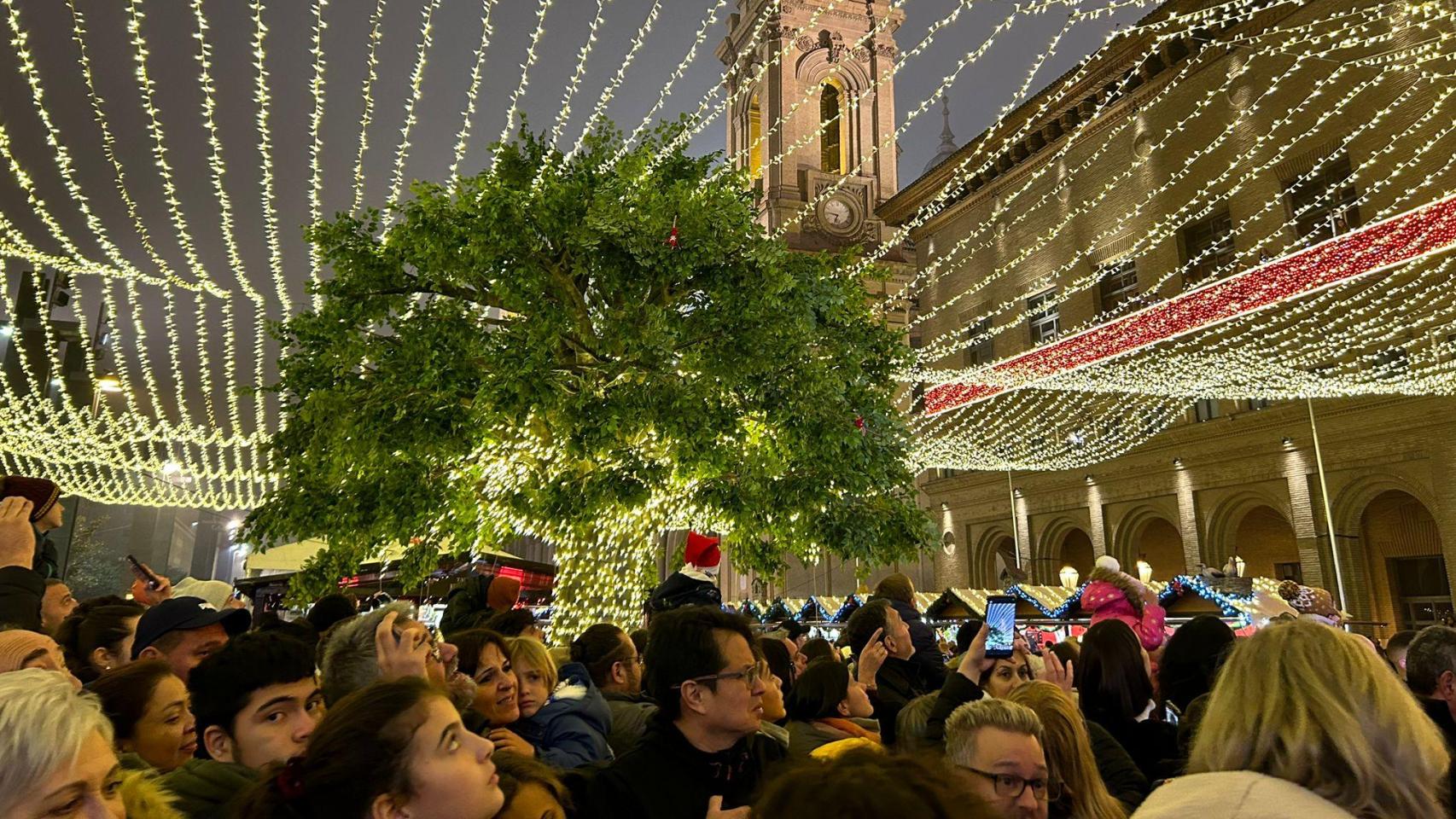 El encendido Navideño, en 2024.