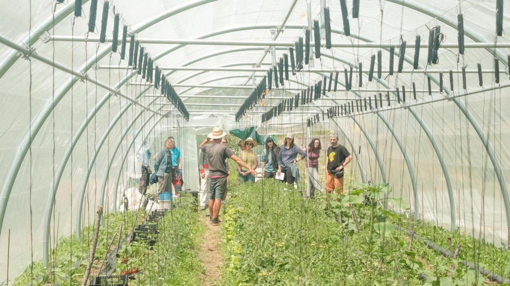 Eva y Erik sueñan con hacer de Tierra Campesina un proyecto donde se pueda aprender sobre agricultura bio-intensiva y sobre el cultivo y el uso de las plantas medicinales.