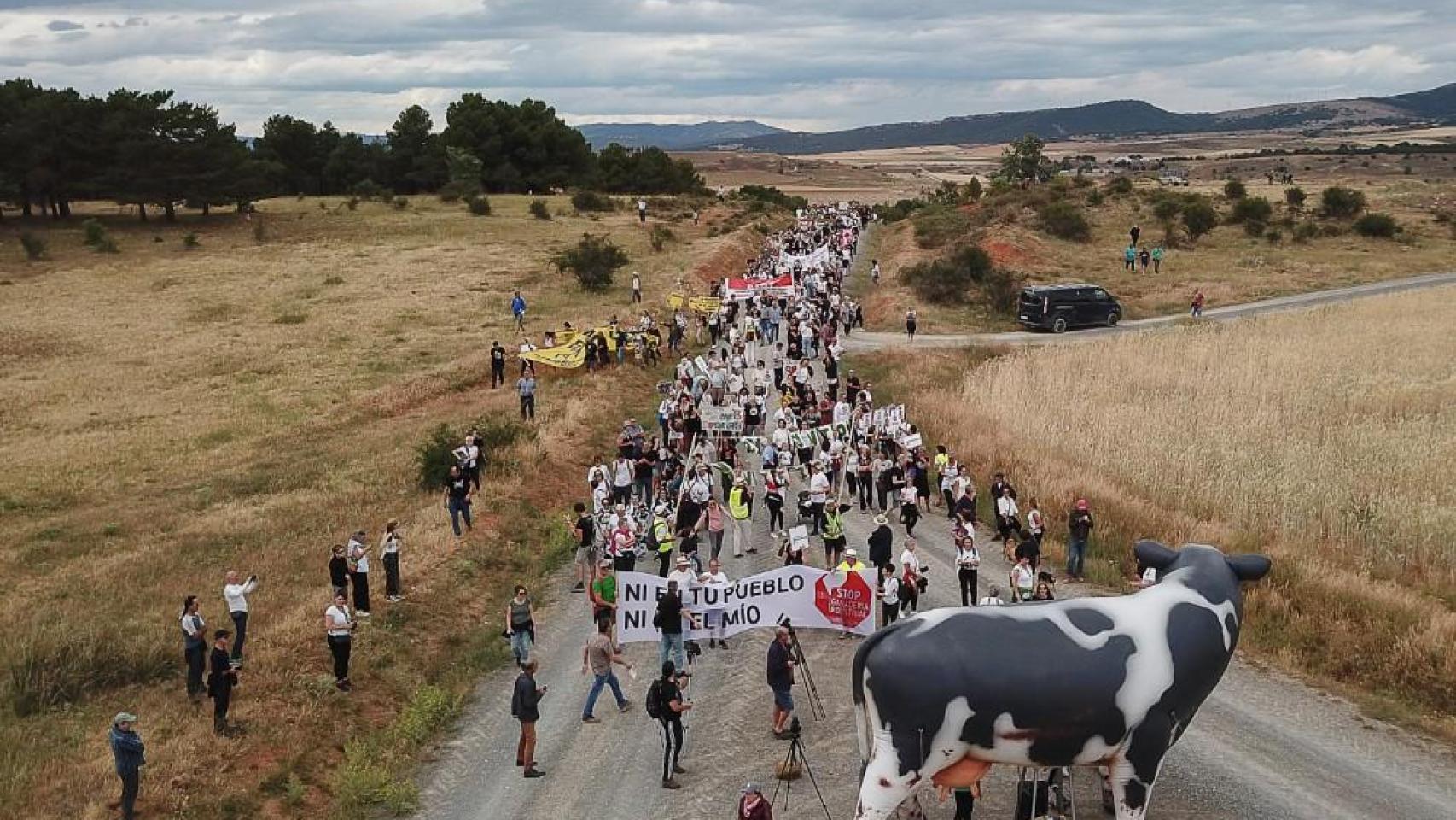 Las organizaciones ecologistas celebran el fin definitivo de la macrogranja de Noviercas