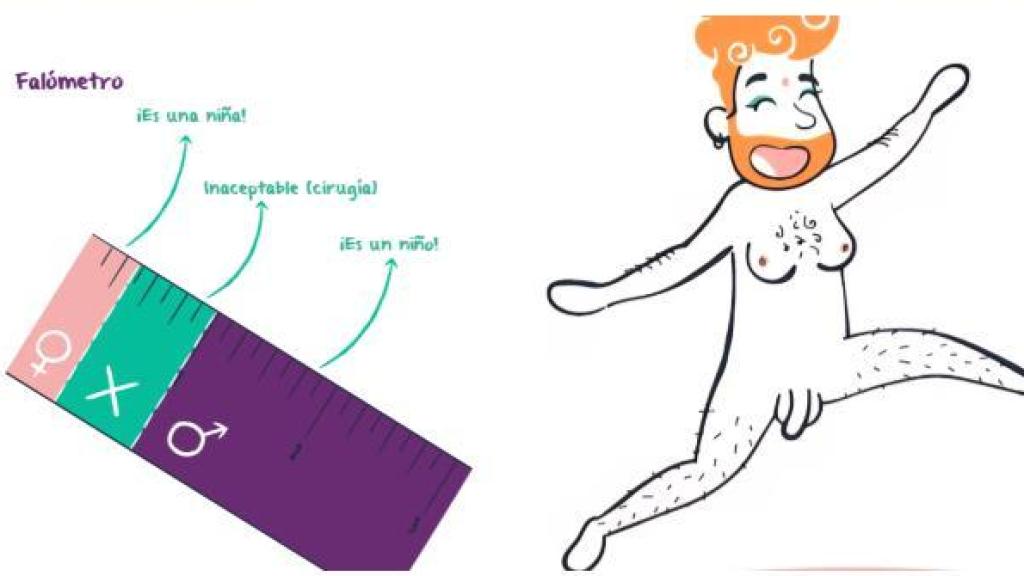 Las guías sexuales se expanden por los colegios de España: del falómetro de las Canarias al contenido explicito catalán