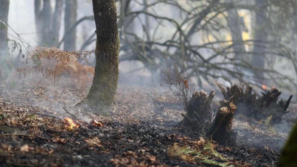 Zonas calcinadas por el incendio de Pontón durante la realización de labores de extinción del incendio de Pantón, a 22 de septiembre de 2025, en Pantón, Lugo (España)