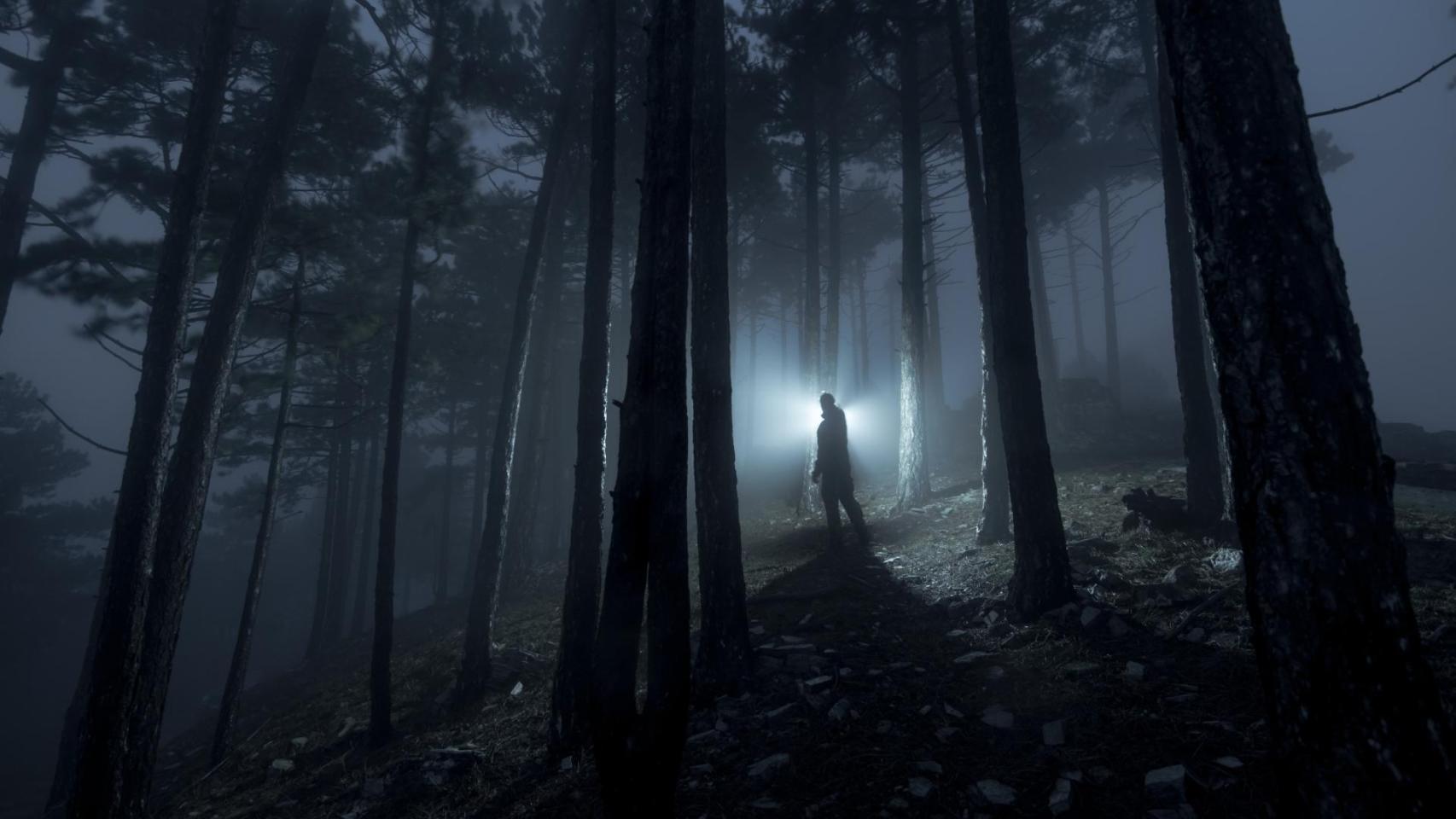 Una persona en el bosque por la noche