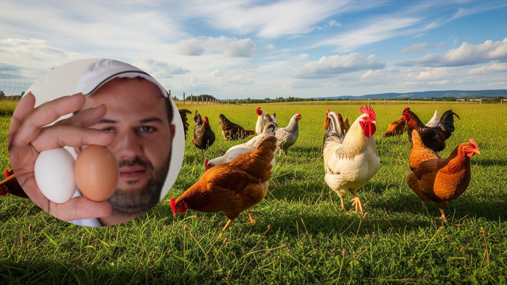 Montaje de Joan con gallinas en una imagen creada con IA.