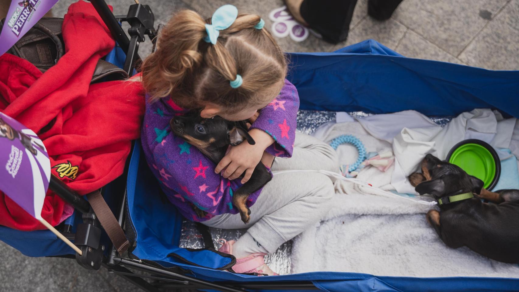Una niña de espalda con un perro en brazos.