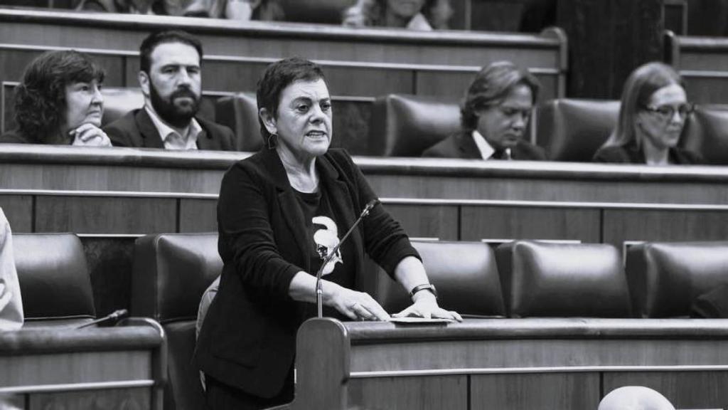 Mertxe Aizpurua, este miércoles en el Congreso.