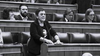 Mertxe Aizpurua, this Wednesday in Congress.
