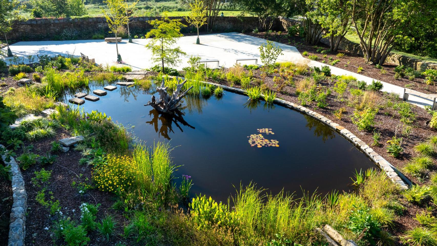 Imagen del parque Rosalía Mera.