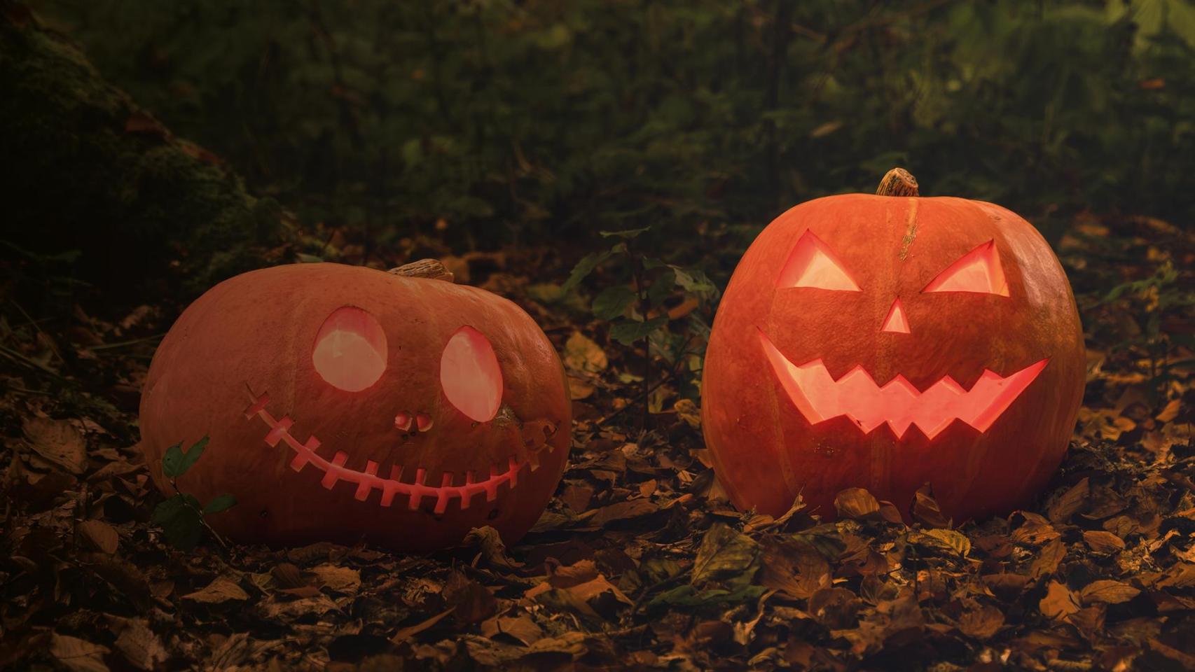 GranCasa se transforma en un bosque encantado por Halloween.