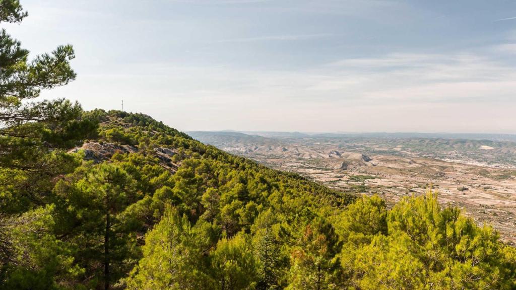 La Sierra de Mariola.